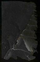 Realistic texture overlay, worn old paper effect. Overlay texture stamps with old, grunge, grainy, vintage, worn, dusty. set for backdrop, distress grain. poster background, Scratched Torn Ripped. cru photo
