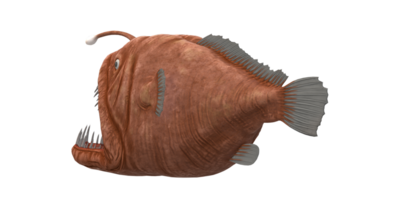 pescador peixe isolado em uma transparente fundo png