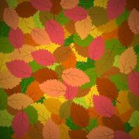 Background with autumn leaves. Vector illustration