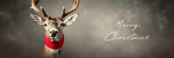 Merry Christmas and happy new year. Portrait of funny deer with red scarf. photo