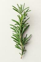 AI Generative Fresh rosemary bound and rosemary sprigs in a glass on a white wooden background photo