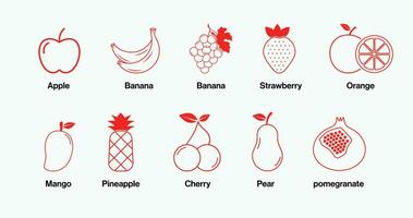 Set of fruits icon vector