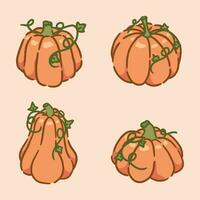 cute pumpkins hand drawn set vector