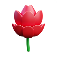 carnation 3d rendering icon illustration png