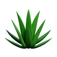 aloe vera 3d rendering icon illustration png