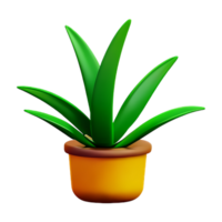 aloe vera 3d rendering icon illustration png