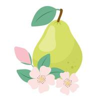 Green pear. Composition of pink flowers and pear. vector