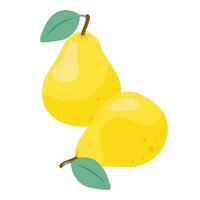 Vector illustration of yellow, ripe, juicy pears