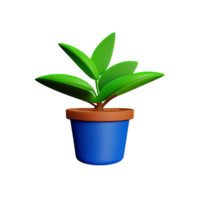 potted plants 3d rendering icon illustration png