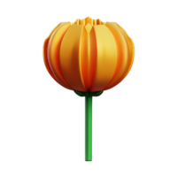 carnation 3d rendering icon illustration png