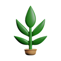 fern 3d rendering icon illustration png