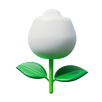 white rose 3d rendering icon illustration png