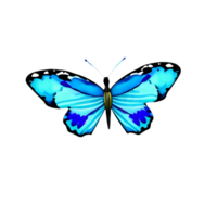 acuarela mariposa 3d representación icono ilustración png