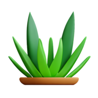 aloe vera 3d rendering icon illustration png