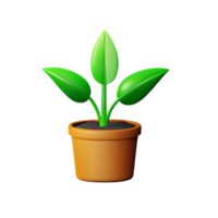 potted plants 3d rendering icon illustration png