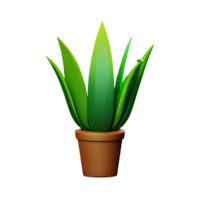 aloe vera 3d rendering icon illustration png