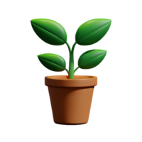 mis en pot les plantes 3d le rendu icône illustration png