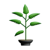 fern 3d rendering icon illustration png