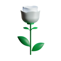 white rose 3d rendering icon illustration png