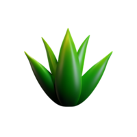 aloe vera 3d rendering icon illustration png