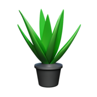 aloe vera 3d rendering icon illustration png