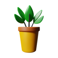 mis en pot les plantes 3d le rendu icône illustration png