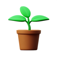 potted plants 3d rendering icon illustration png