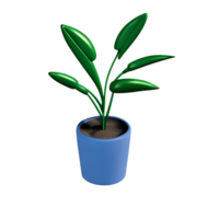 em vaso plantas 3d Renderização ícone ilustração png