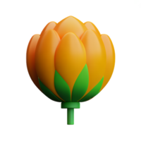 carnation 3d rendering icon illustration png