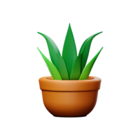 aloe vera 3d rendering icon illustration png