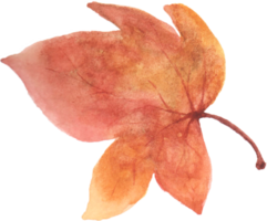 érable feuille aquarelle l'automne png