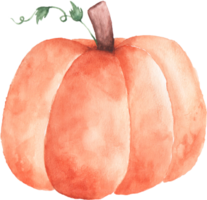Orange Pumpkin Watercolor png