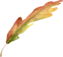 aquarela de folhas de outono png