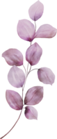 acuarela hojas elemento png