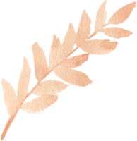 feuilles d'automne aquarelle png