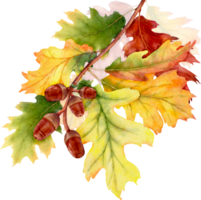 Aquarell Blätter und Geäst im das Herbst Jahreszeit png