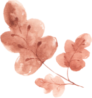 feuille d'automne aquarelle png