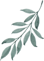 Watercolor Green leaves png