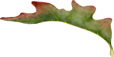 feuilles d'automne aquarelle png