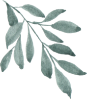 Watercolor Green leaves png