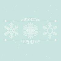 Merry Christmas and Happy New Year with various snowflake minimal style greeting card template have blank space on light blue background. vector