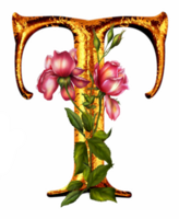 Floral golden alphabet png