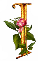 floral dourado alfabeto png