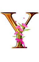 dourado floral alfabeto png