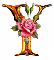 floral d'or alphabet png