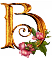 bloemen gouden alfabet png