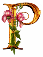 floral d'or alphabet png