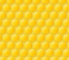 Seamless pattern with honeycombs. Abstract vector background for beekeeping business