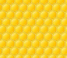 Seamless pattern with honeycombs. Abstract vector background for beekeeping business