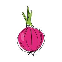 onion with one continuous single line drawing style. graphic vector. vector